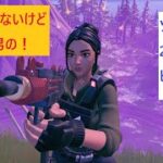 【フォートナイト】建築出来ないけど勝ちたい男のソロ331戦目！27回目のビクロイ！【Fortnite】