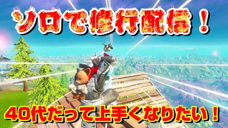 【フォートナイト】40代だって上手くなりたい！ソロで修行配信！【Fortnite】