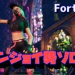 エンジョイ勢ソロ！【フォートナイト/Fortnite】