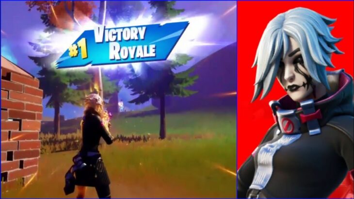 【Grimoire  Skin】※Full GamePlay (Battle Royale) #37『FORTNITE』 * Solo WIN  フォートナイト プレイ動画【グリモワール】ソロビクロイ