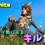 エンジョイ勢ソロ！【フォートナイト/Fortnite】