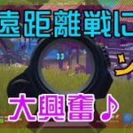 【Fortnite】ストライカーバーストライフルで遠距離戦を楽しむソロ攻略/マイクなし/バトルロイヤル/Battle Royale/Solo/PS4【フォートナイト】