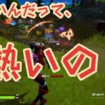 【フォートナイト/Fortnite】雑談diary #311(デュオ)「熱いんだって、熱いの！」