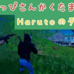 【フォートナイト】下手っぴたまごの建築なしデュオHaruto視点ビクロイ