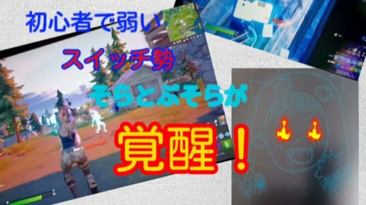 初心者スイッチ勢そらとぶそらがソロで覚醒！！[フォートナイト](説明をしっかり読んでください。)