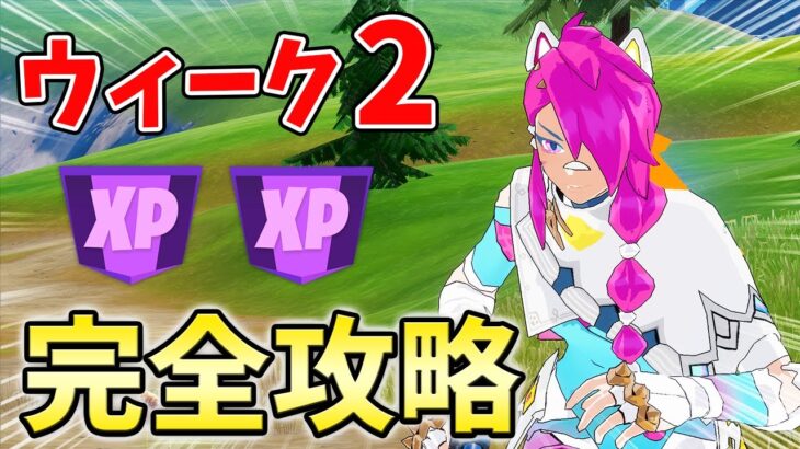 【レベル上げ】ウィーク2シーズンクエスト最速攻略！【シーズン2】【チャプター3】【フォートナイト】