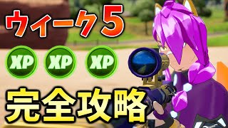 【レベル上げ】ウィーク5シーズンクエスト最速攻略！【シーズン2】【チャプター3】【フォートナイト】