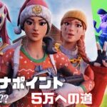 アリーナポイント5万への道！デュオ＆トリオ編【フォートナイト/Fortnite】