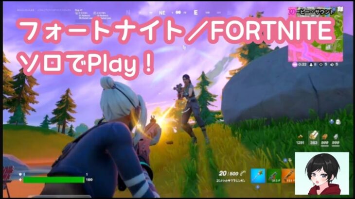 【フォートナイト】FORTNITEでソロやりました！