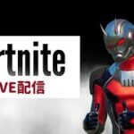 適当にソロしたり練習したりする【フォートナイト/Fortnite】【ライブ配信】