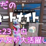 【フォートナイト/Fortnite】冒険の友が大活躍した話 ソロ ♯23【C3S2】