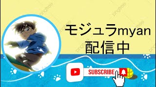 【フォートナイト】ソロキャッシュカップ行くよ