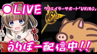 【フォートナイト】ソロキャッシゅ