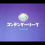 アリーナデュオを1人でプレイする方法！【フォートナイト/グリッチ】