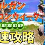 【レベル上げ】レールガンリーコンクエスト最速攻略！マーク,30秒以内,50メートル以上【シーズン2】【チャプター3】【フォートナイト】