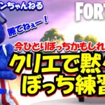 【fortnite Live】土曜日デュオカスタム控えてるから今日は黙々と練習(｀・ω・´)ｼｬｷｰﾝ✨詳しくは概要覧見てね。✨【フォートナイト】