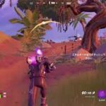 C3S2ソロライブ配信(ビクロイ)[フォートナイト/FORTNITE]