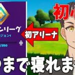 ソロアリーナでビクロイ取っちゃうよ【Fortnite・フォートナイト】