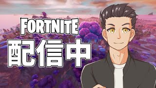 歴史に残る一日だったからソロでビクロイ取る【Fortnite・フォートナイト】