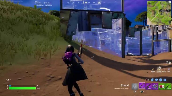 マイクオフ　フォートナイト　ソロのみ練習記録のため配信　PS4【FORTNITE】