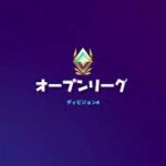 マイクオフ　フォートナイト　ソロのみ練習記録のため配信　PS4【FORTNITE】