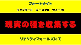 現実の種を収集する　フォートナイト　クエスト攻略