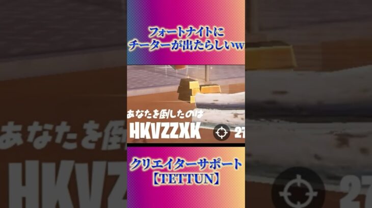 【フォートナイト×チーター】えぐいチートを使うヤツが現れたらしいw【Fortnite クリエイティブ】【小ネタ おもしろ】【アリーナ ふぁいあー / Riddle シーズン3 放置】#shorts