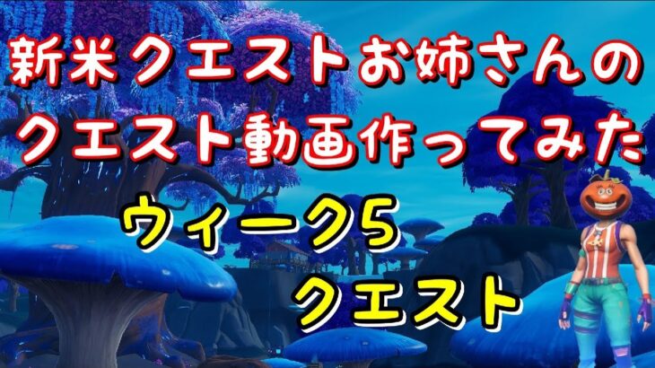 クエスト攻略動画つくってみた　シーズン３　～ウィーク5～　【フォートナイト】