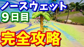 ノースウェットサマークエスト9日目 完全攻略【フォートナイト攻略】