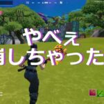 ソロをしているとかわいい人がいた【フォートナイト/FORTNITE】