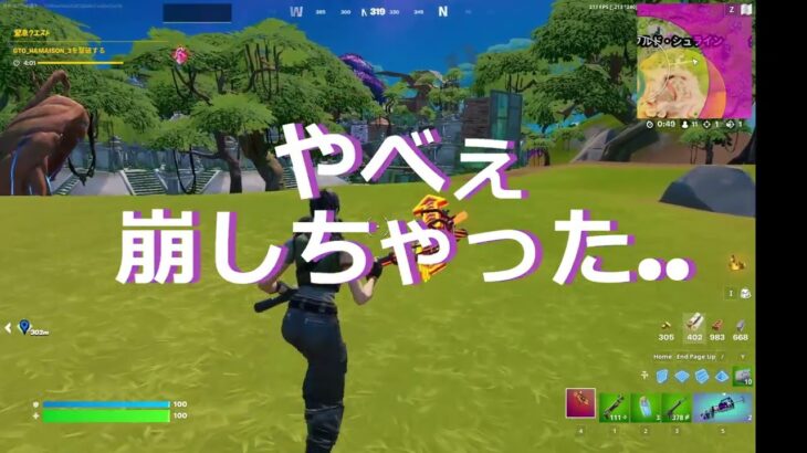 ソロをしているとかわいい人がいた【フォートナイト/FORTNITE】