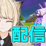 【フォートナイト】コメント読みながらソロアリーナ！【新人Vtuber】