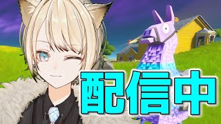 【フォートナイト】コメント読みながらソロアリーナ！【新人Vtuber】