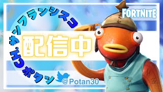 ソロ10回ビクロイできるまで終われまテン【フォートナイト/Fortnite】