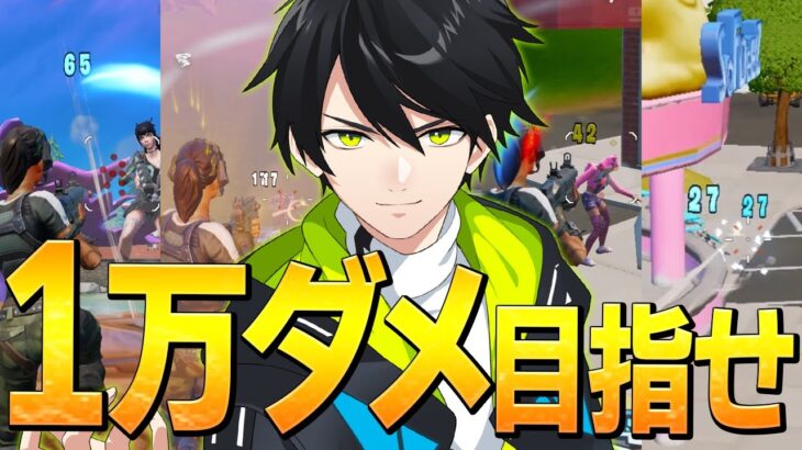 【新企画】ゼロビルドソロスク「1試合で10,000ダメージ」の超難関に挑む、ネフライト【フォートナイト/Fortnite】