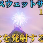 【フォートナイト】ノースウェットサマークエスト12日目攻略！！：【FORTNITE】