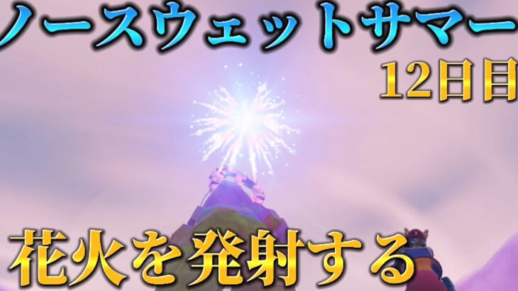 【フォートナイト】ノースウェットサマークエスト12日目攻略！！：【FORTNITE】