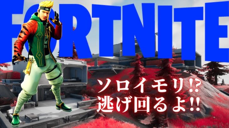 【フォートナイト】ツバキです……ソロは怖いです……💔【FORTNITE】【Fortnite】