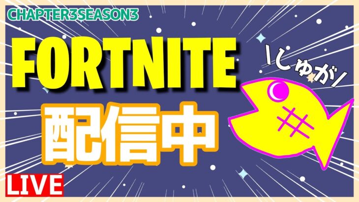 【フォートナイト】ソロ配信～クエスト消化編～【Fortnite】