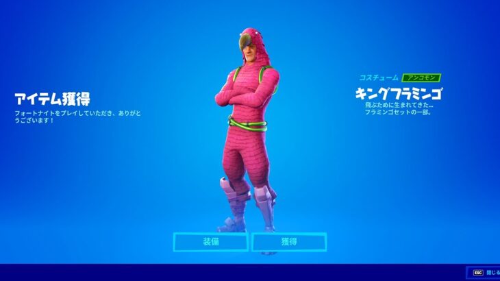 なんで？？？？【フォートナイト / Fortnite】