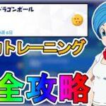 持久力トレーニングクエスト完全攻略！完全無料グライダー【神龍】が入手可能！チャレンジ達成場所まとめ【解説】【レベル上げ】【リーク】【孫悟空】【ドラゴンボール】【フォートナイト/Fortnite】