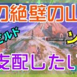 【Fortnite】最強の山頂陣地を敵から奪うゼロビルド・ソロ攻略/マイクなし/バトルロイヤル/Battle Royale/Solo/PS4【フォートナイト】