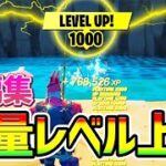 【無限XPバグ10選】全部で500,000XP！？話題の海外のレベル上げ法を紹介！チート級神マップ総集編【フォートナイト/Fortnite クリエイティブ】【シーズン3 放置 稼ぎ】