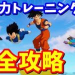 ドラゴンボール 持久力トレーニング完全攻略【フォートナイト攻略】