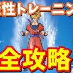 ドラゴンボール敏捷性クエスト完全攻略【フォートナイト攻略】