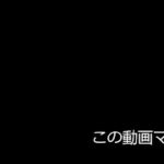 「フォートナイト」この動画マジで…