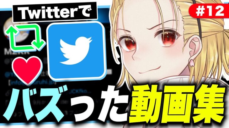 【大好評第12弾】Twitterでバズったおもしろ動画集！ハッカー小学生のしんくんが虚言壁過ぎるWWWW