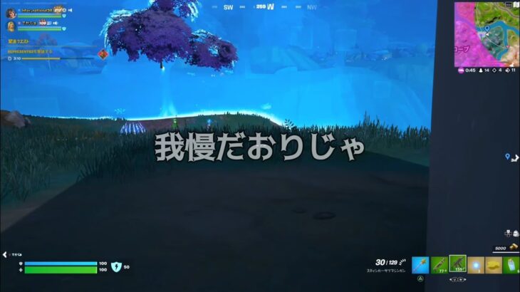 夫婦デュオドラゴンボールフォトナ【フォートナイト/Fortnite】ミュートしたら身体に悪いので無理だわ。うるさくてもいいじゃないかビクロイ。ま、いっかぁ