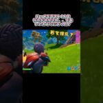 【フォートナイト】デュオ相方がラスト１人の途中で時間切れ(T＿T)✨でも、ビクロイ？#fortnite