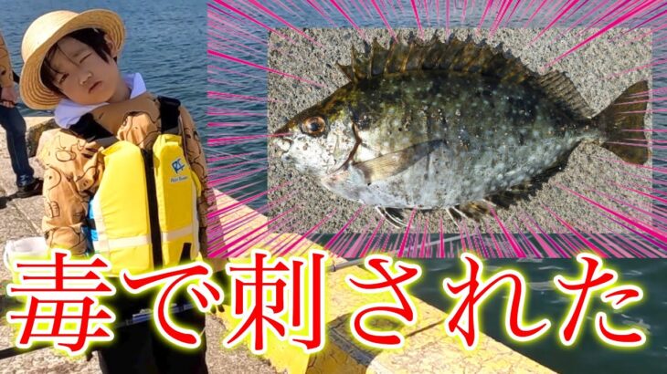 毒針を持った危険な魚に刺されました…